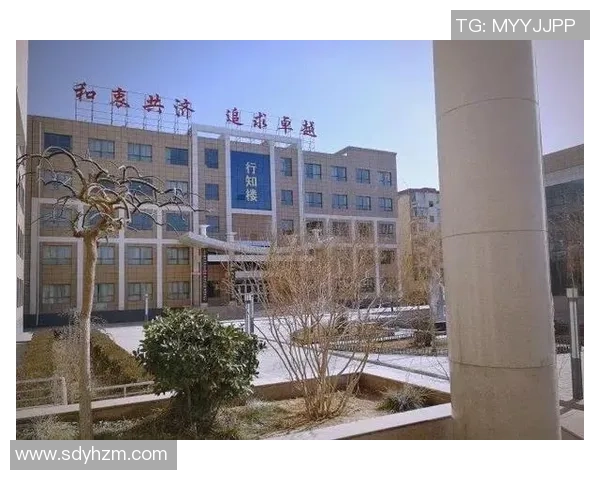 上海排球队的蜕变之路：从传统强队到现代化竞技新标杆