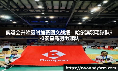 奥运会升降级附加赛图文战报：哈尔滨羽毛球队3-0秦皇岛羽毛球队