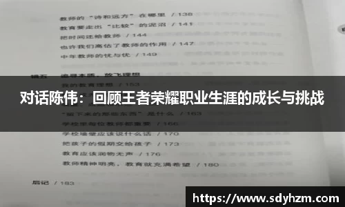 对话陈伟：回顾王者荣耀职业生涯的成长与挑战